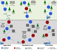 Designing and Implementing a Network for Sensing Water Quality and Hydrology across Mountain to Urban Transitions