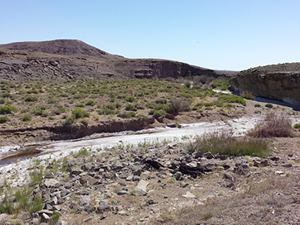 The Pariette Draw Watershed in Eastern Utah