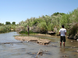 Deploying the DTS (Distributed Temperature Sensing) cable into the Walker River