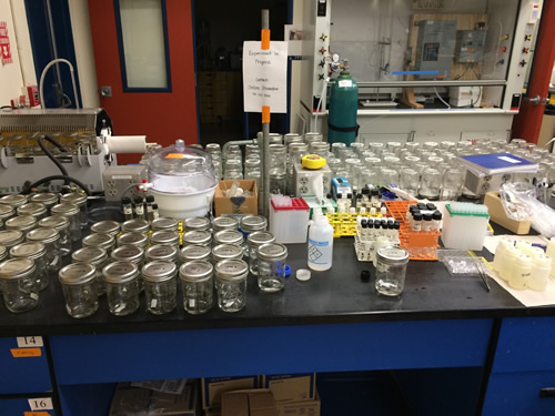 My lab station during sample processing