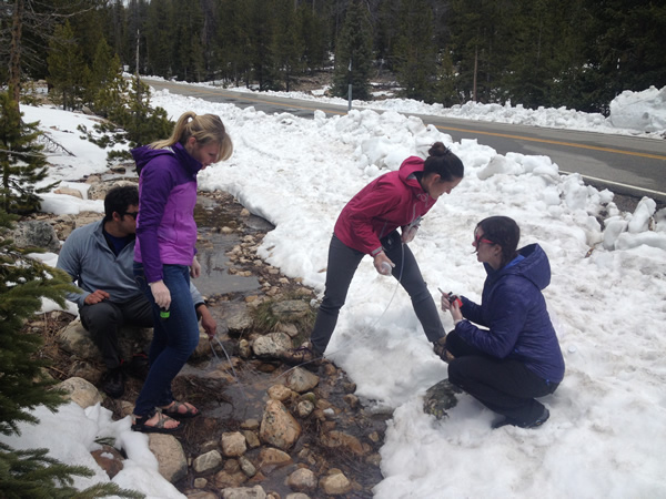 (From left to right) Brian, Hannah, Carrie, and Greta collecting overland flow samples in the Uintas to be tested for Mercury and organic carbon and organic matter. 
