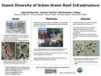 Insect Diversity of Urban Green Roof Infrastructure