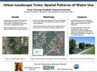 Urban Landscape Trees: Spatial Patterns of Water Use