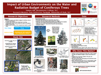 Impact of Urban Environments on the Water and Radiation Budget of Coniferous Trees