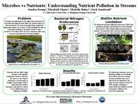 Microbes vs Nutrients: Understanding Nutrient Pollution in Streams
