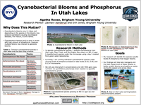 Cyanobacterial Blooms and Phosphorus In Utah Lakes