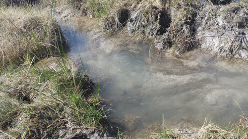 Crystal clear spring water bubbling up to the surface.