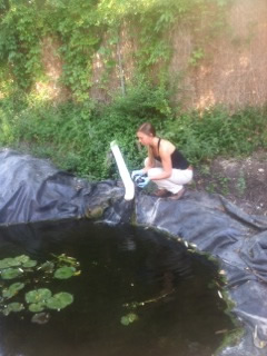 Mallory sampling the inflow to a Koi pond, directly from a groundwater seep