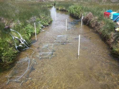 Field chambers installed in Silver Creek on day 2