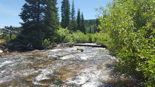 Mountain site upstream