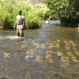 Wading in the water