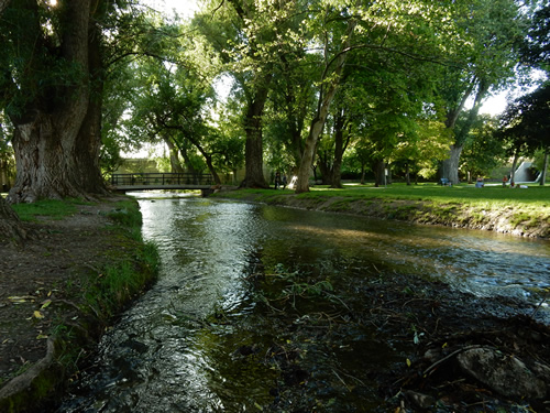 One of our research sites at Merlin Olsen Central Park