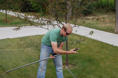 Cleaning off the hand auger after completing a hole