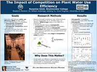 The Impact of Competition on Plant Water UseEfficiency