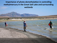 Water Chemistry in Cedar City, UT Irrigation System